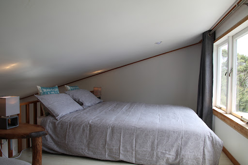 Waiotoi - The Bush Hideaway photo