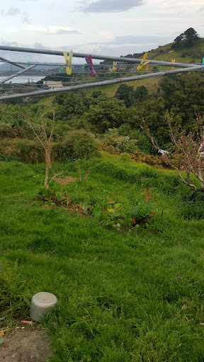 Waikaraka Harbour View photo