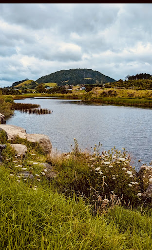 Waro Lodge photo