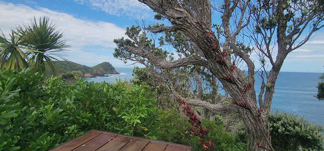 Light House Lookout photo